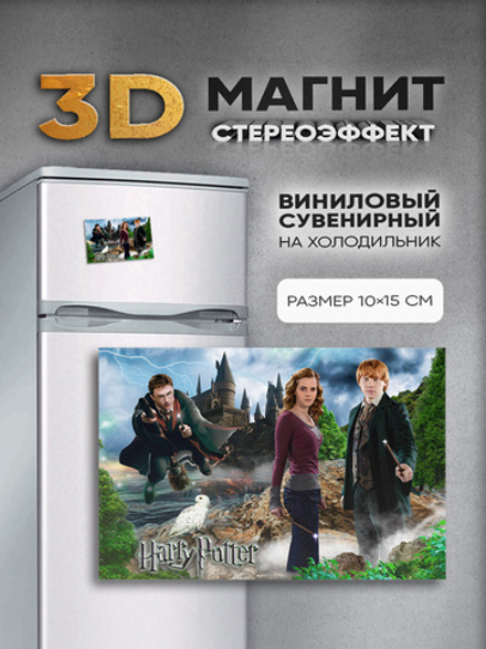 Стереомагнит с 3D-эффектом "Гарри Поттер"