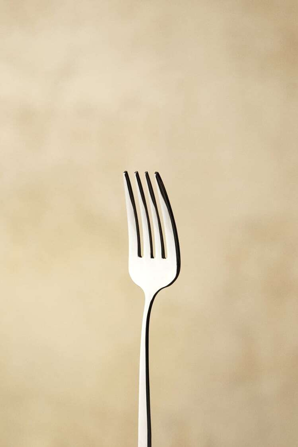 ZARA HOME ВИЛКА, СТАЛЬНОЙ