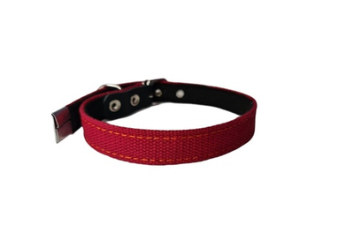 Ошейник SoGood брезентовый для средних и крупных собак 51*2.5