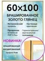 Металлическая рамка 60х100 см
