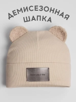 Шапка для мальчика с ушками на осень