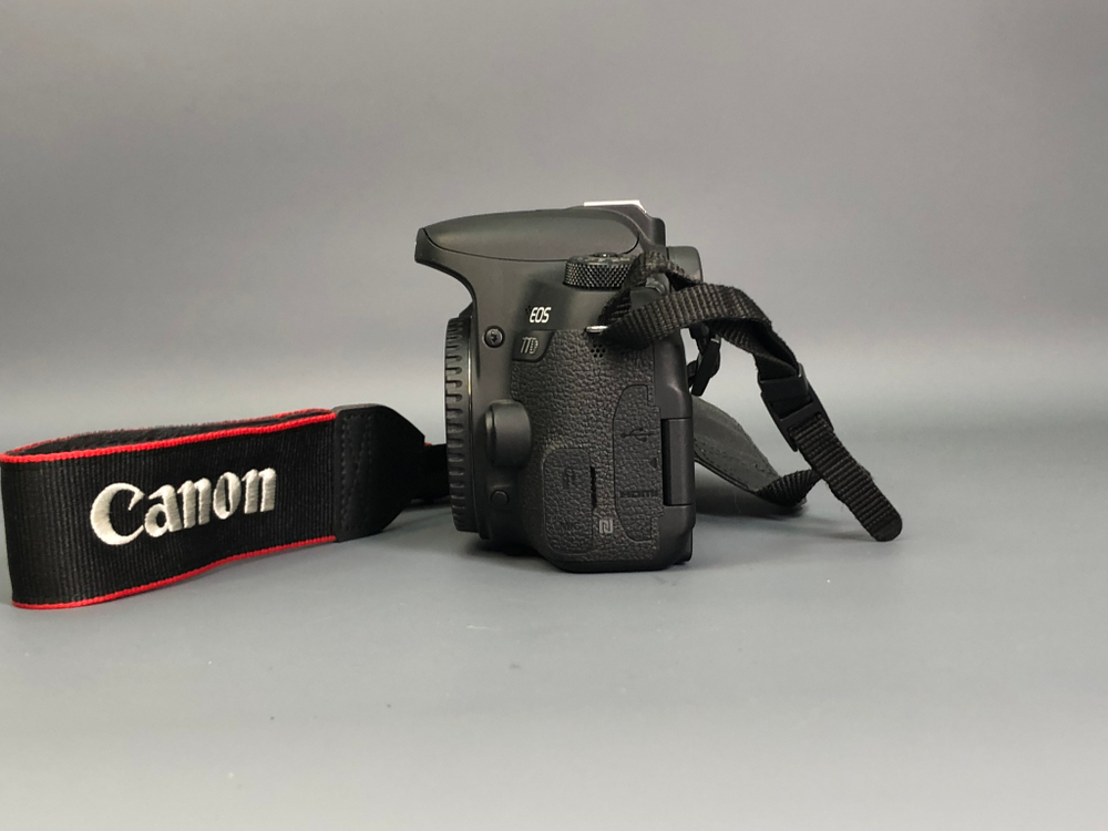 Canon 77D 15.000 кадров