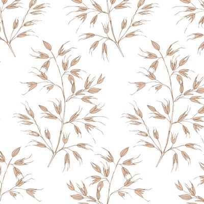 Спелые колоски овса на белом