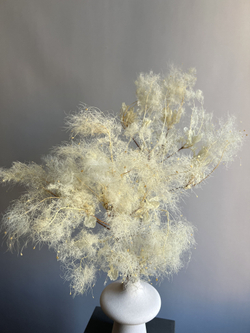 Котинус стабилизированный выбеленный