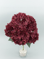 Букет гортензия Садовая