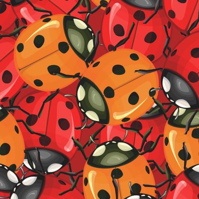 Божья коровка принт