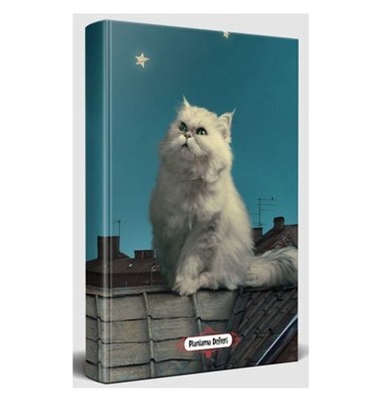 Halk Pamuk Planlama Defteri