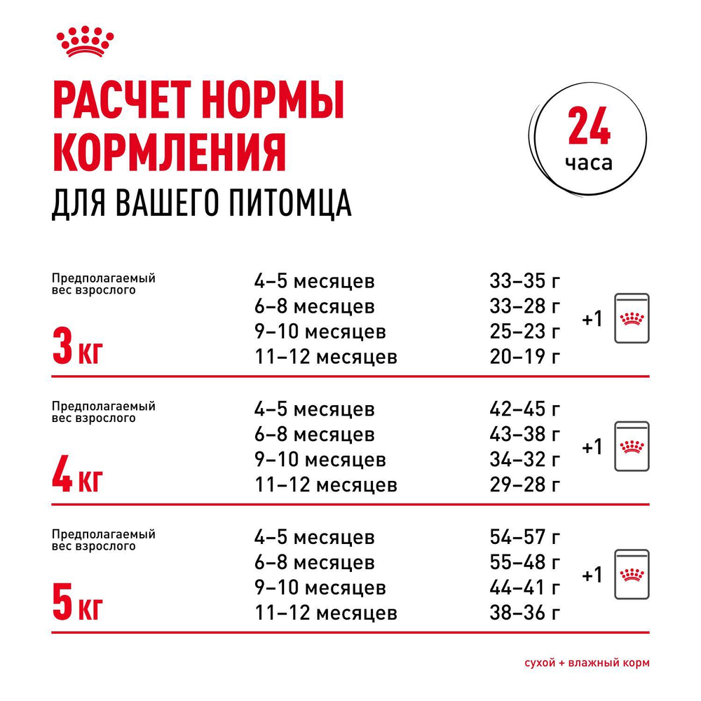 Royal Canin Sphynx Kitten Корм сухой сбалансированный для котят породы Сфинкс до 12 месяцев 2 кг