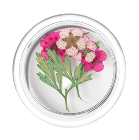 Irisk Сухоцветы в баночке (104)