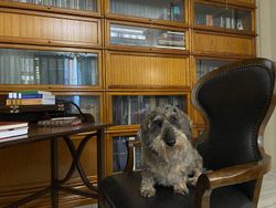 Бюро "Бруксби"