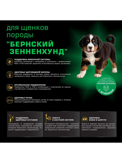 Корм сухой для щенков породы Бернский зенненхунд, премиум полнорационный комплекс, с ягненком, 12 кг, QUATTRO