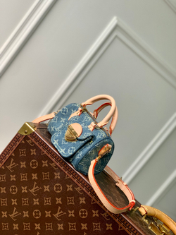Louis Vuitton Nano Speedy