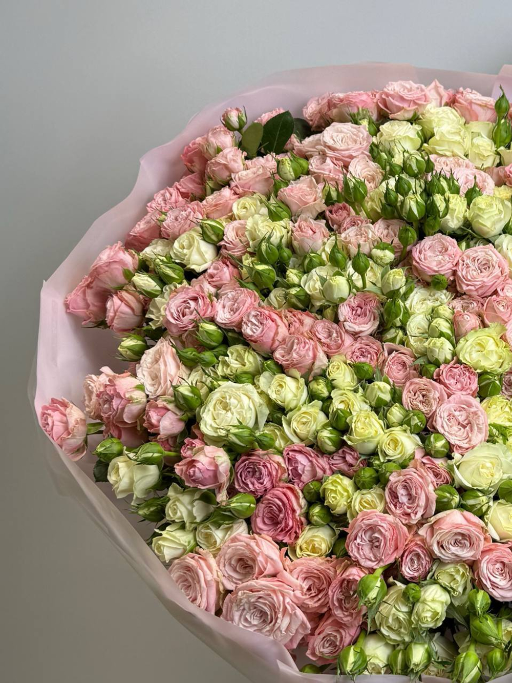 Бунт кустовых роз