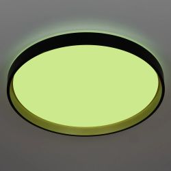 Citilux ENZO CL753511G LED RGB Светильник с пультом Черный + Золото