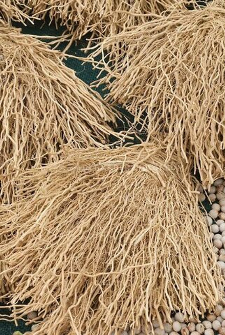 VETYVERYLE ACETATE base / ВЕТИВЕРИЛ АЦЕТАТ CAS -