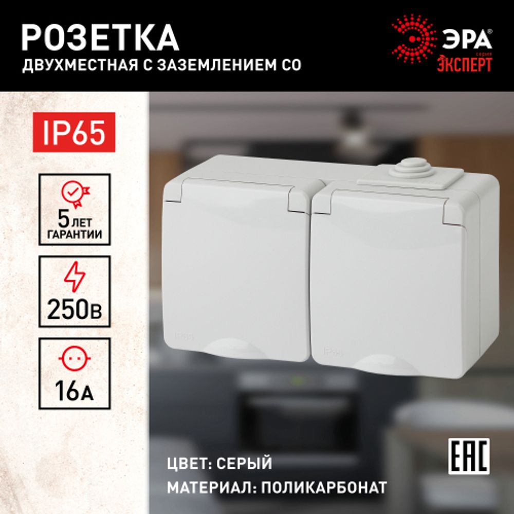 11-2604-03 ЭРА Розетка 2х2P+E гориз. IP65, шторки, 16A-250В, ОУ, серый
