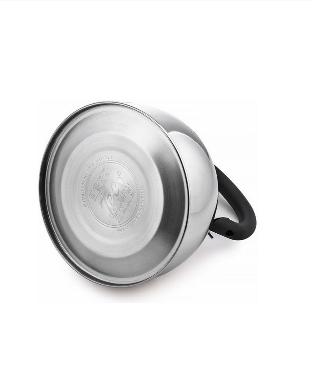 Чайник со свистком Teco TC-119 эконом