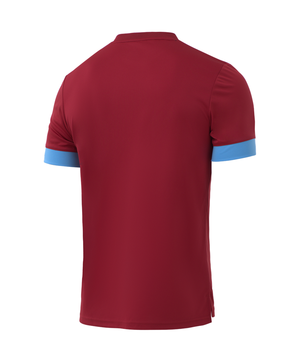 Футболка игровая DIVISION PerFormDRY Union Jersey, гранатовый/голубой/белый