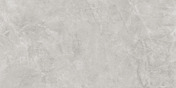 Pluto Silver Керамогранит светло-серый SG50005220R 59,5х119,1 матовый