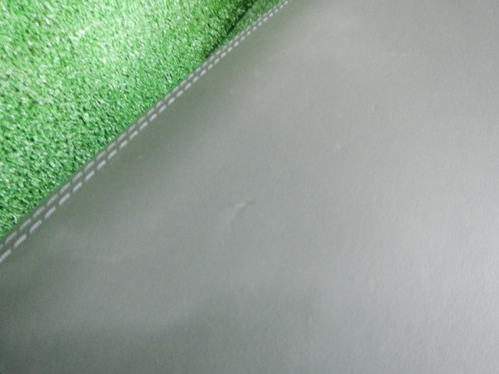 DSCN8093.JPG