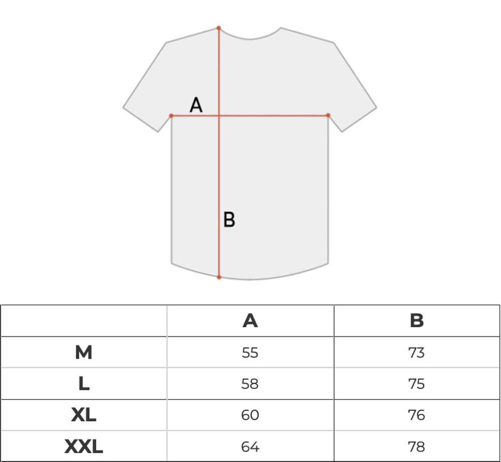 Футболка мужская Dickies Clancy Heavyweight