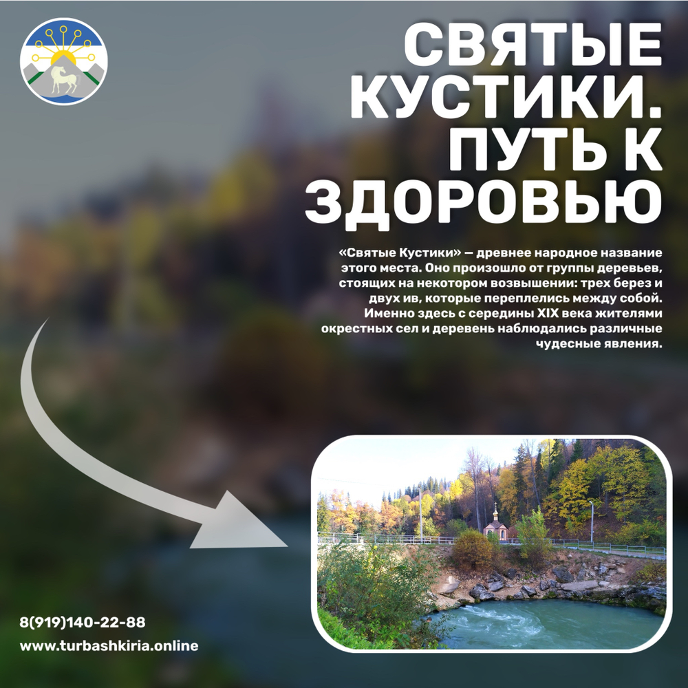 Святые кустики. Путь к здоровью