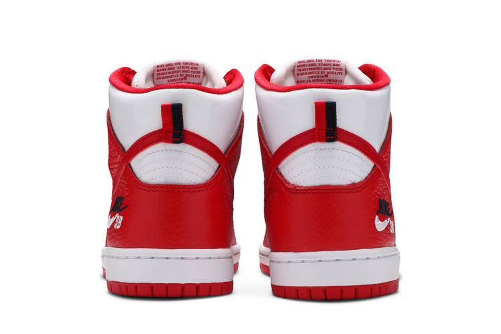 Кроссовки Nike Dunk Sb Future Court Red
