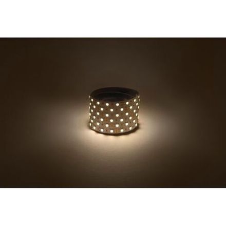 Лента светодиодная LS5050-14.4-60-24-33-2700К-5m (уп.5м) ЭРА Б0043113