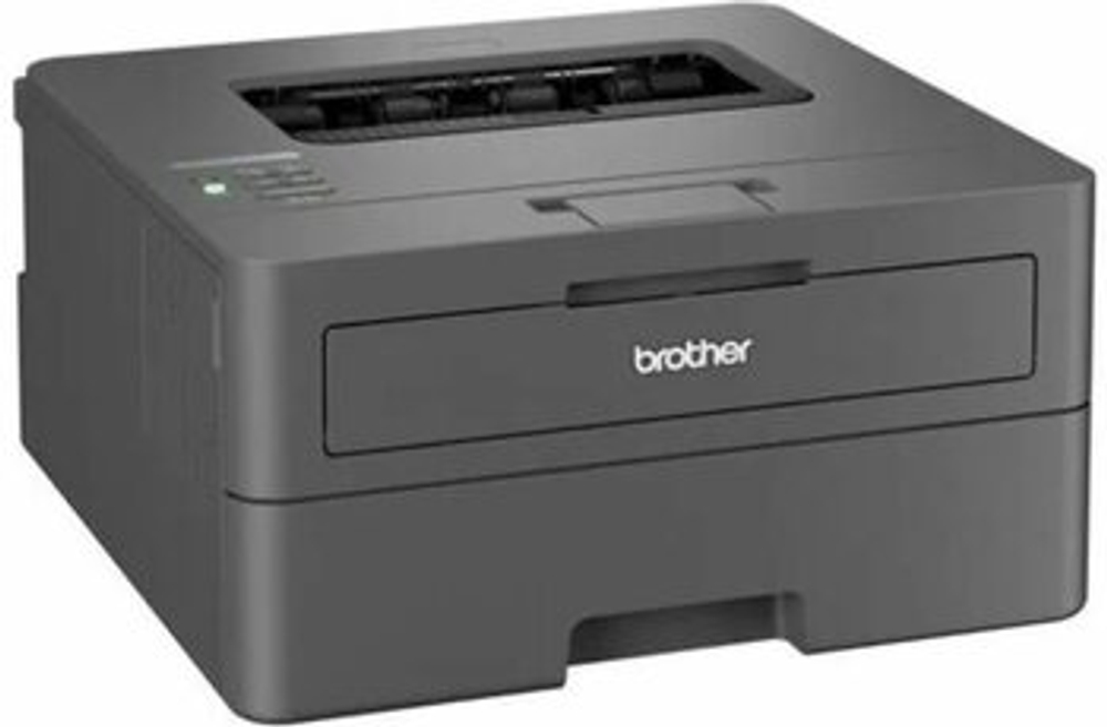Лазерный принтер Brother HL-L2400DWE