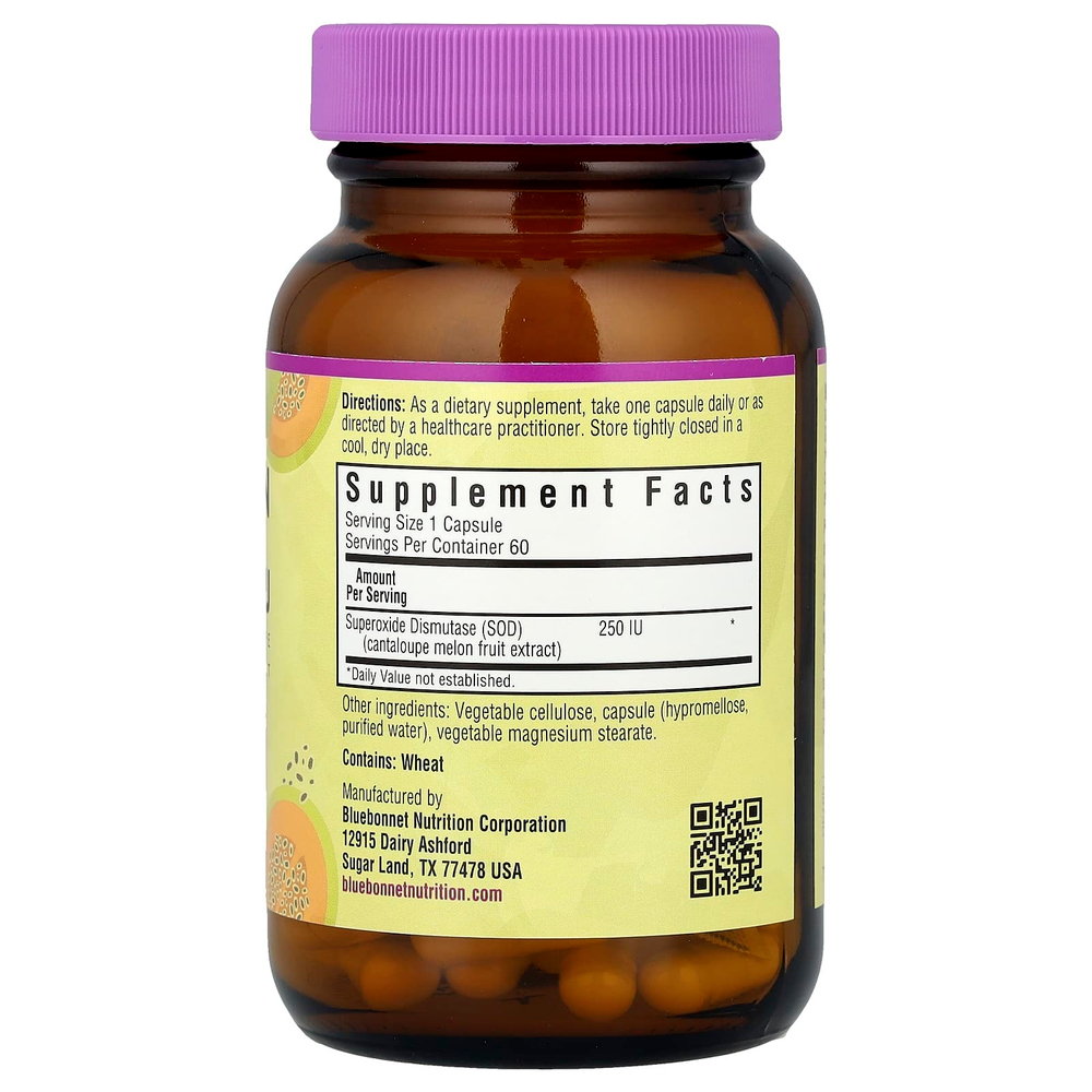 Bluebonnet Nutrition, Super Fruit, Vegetarian SOD, экстракт плодов канталупы, 250 МЕ, 60 растительных капсул