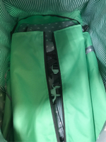 Санки-коляска Ника детям 8-2 мятный (арт. НД8-2/4)