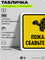 Табличка "Пожалуйста, сбавьте скорость" на дверь и забор, для двора, дома, подъезда, 40х30 см, Silver Plane x Айдентика Технолоджи