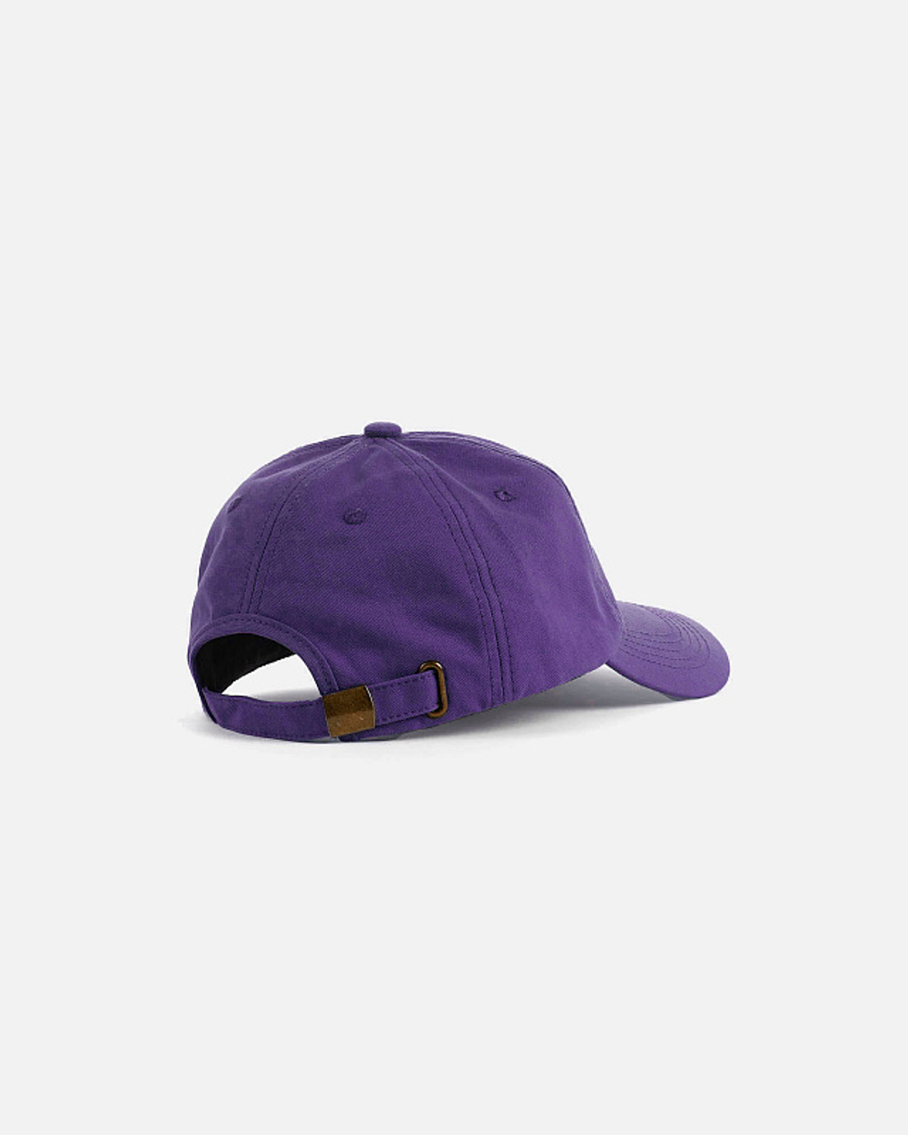 Кепка Anteater 6Panel-Violet