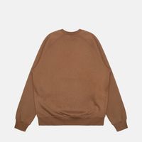 Толстовка мужская Carhartt WIP Chase Sweatshirt артикул:I033660_chocolate - купить в магазине Дайс
