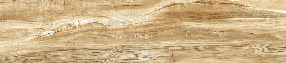 Вандервуд / Wonderwood