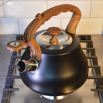 Чайник 2,8л нерж со свистком, нейлон, индукция, цвет антрацит, "Daniks" GS-04052B-1