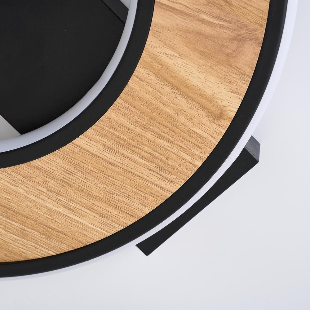 Потолочный светодиодный светильник F-Promo Olika 4438-2C