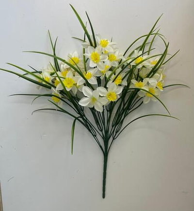 Нарцисс с травкой