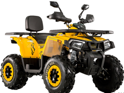 Квадроцикл MOTOLAND (МОТОЛЕНД) 200 WILD TRACK X (баланс. вал)