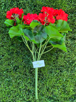 Герань красная куст с цветами 43 см