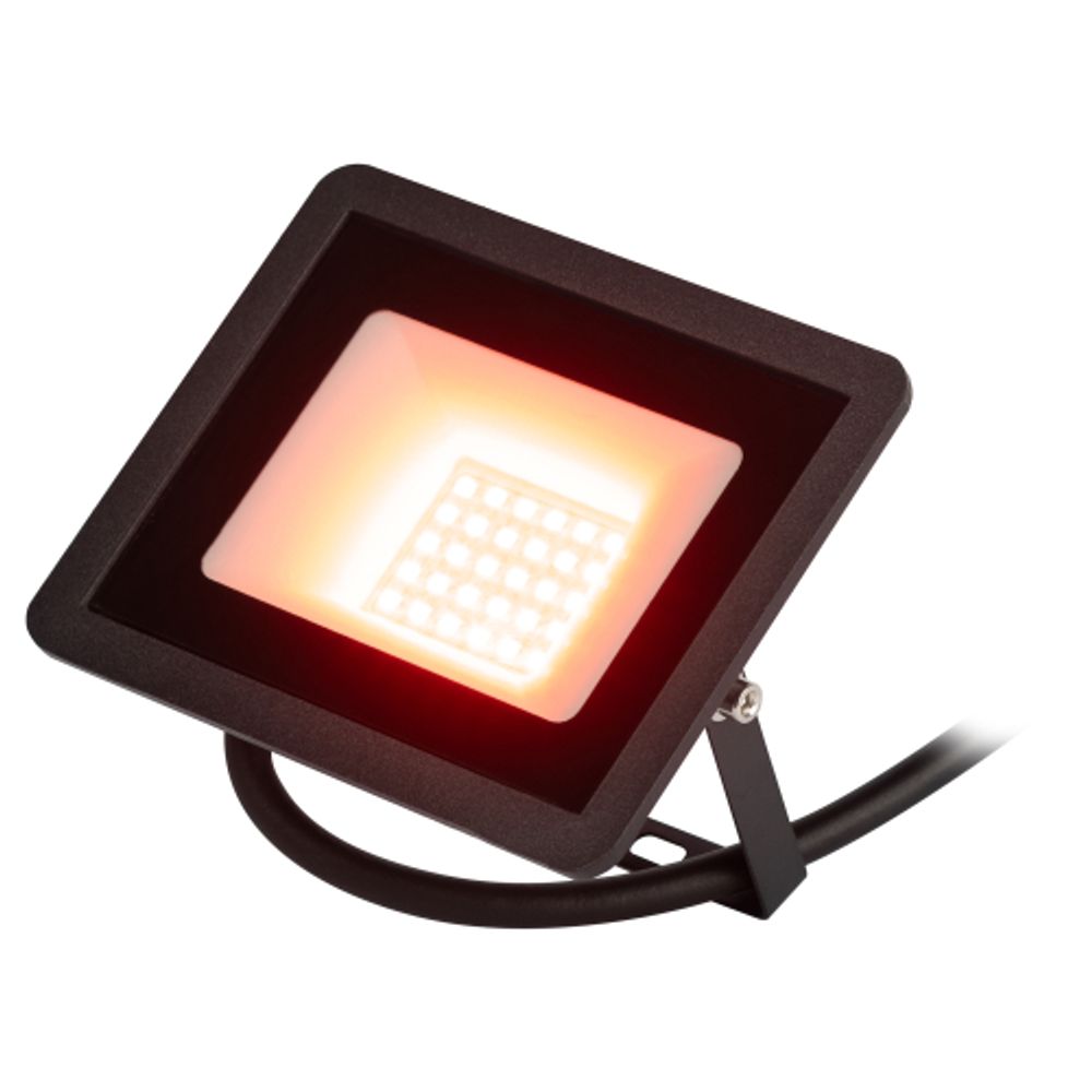 Прожектор светодиодный уличный ЭРА LPR-025-RED-030 30Вт красное свечение IP65 гарантия 2 года | Прожекторы Стандарт