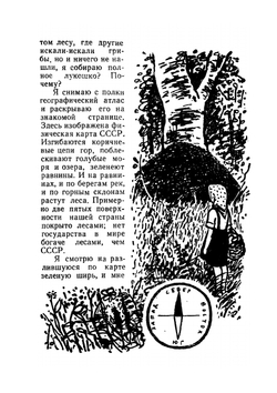 Полное лукошко | Н. Надеждина