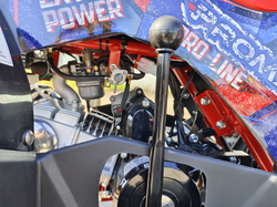 Квадроцикл PROMAX WILD 175 BASIC