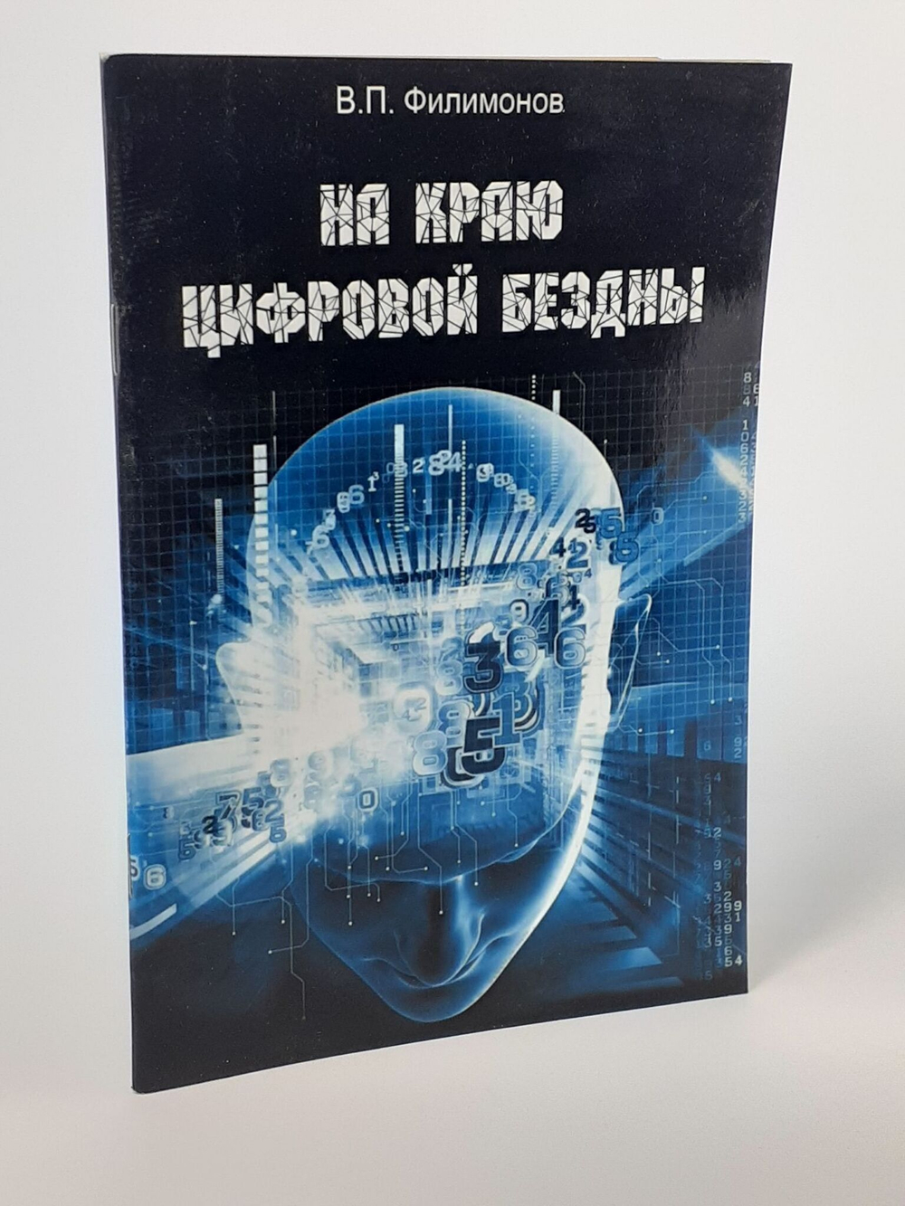 На краю цифровой бездны
