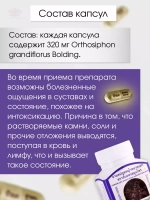 Капсулы Кошачий Ус