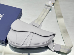 Christian Dior Saddle 26 cm