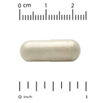 California Gold Nutrition, Think Support, с гинкго билоба, тюбетейкой, готу колой, бакопой и ферментами, 60 растительных капсул