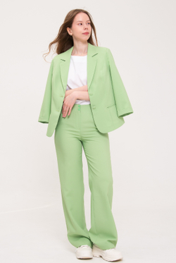 Брюки женские 02, салатовый #513Сал0202