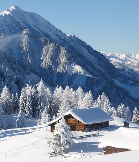 Mountain, наполнитель для диффузора, Culti Milano