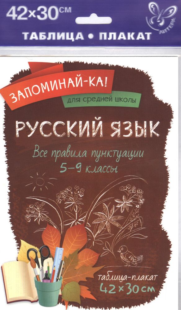 Основные правила орфографии и пунктуации 5-9 кл. (12 шт.) — купить по ФГОС | Учебный стандарт